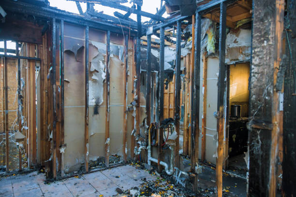 Professional Fire Damage Assessment technician working in Mount Rainier, MD