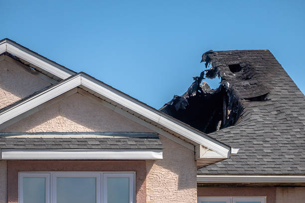 Top rated local Fire Damage Assessment specialists in Mount Rainier, MD